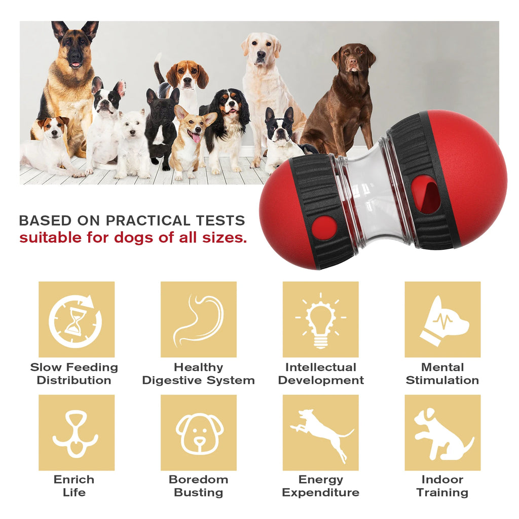 Chien utilisant jouet stimulation mentale pour friandises