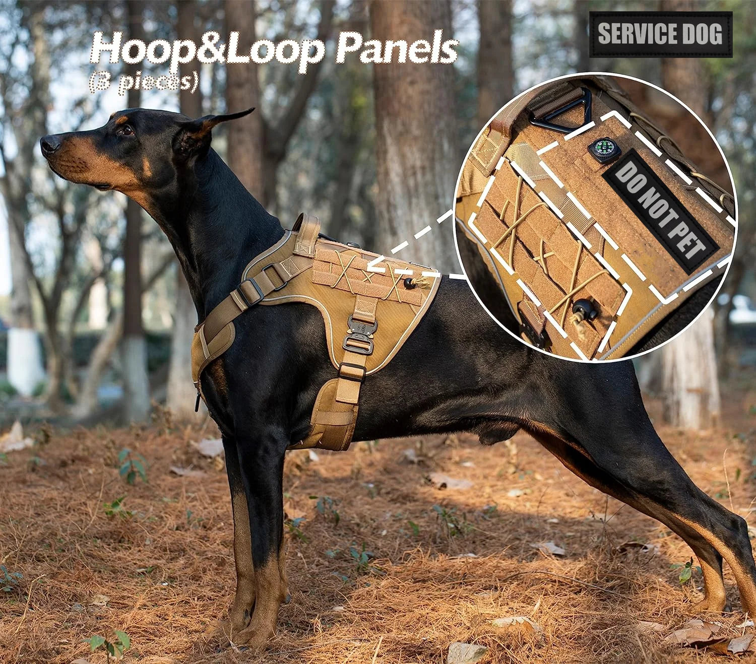 Harnais porté par chien