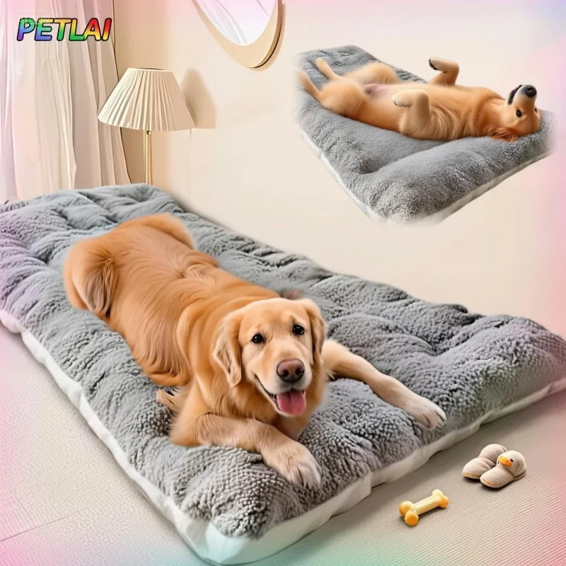 matelas confort chien
