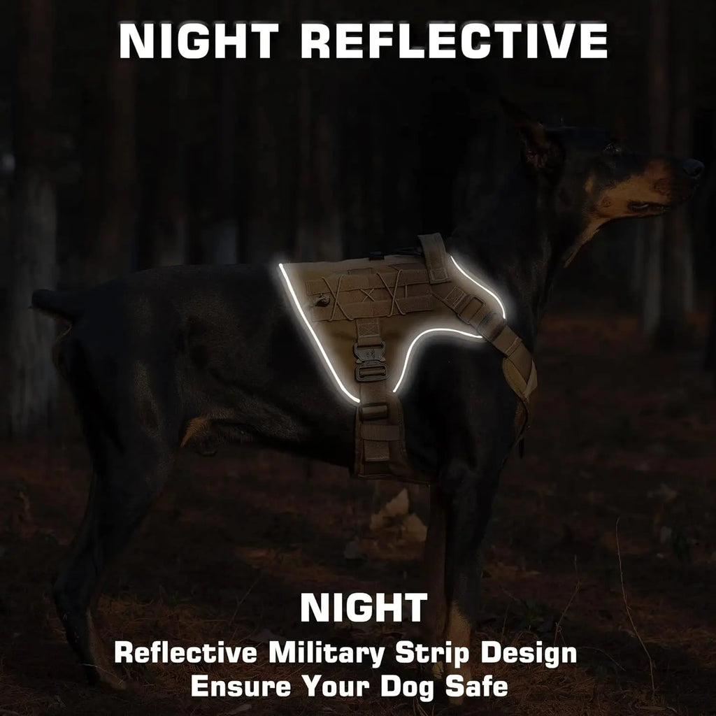 Harnais pour chien, robuste et réfléchissant